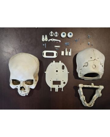 Moving Eyes Kit