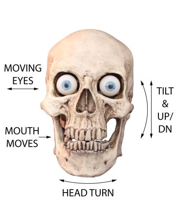 Full Motion Character