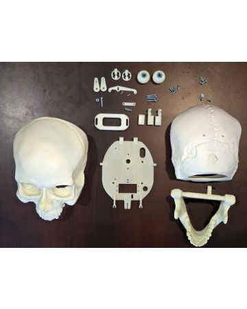 Moving Eyes Kit