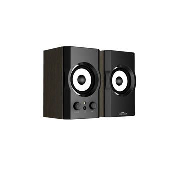 Powered Speakers