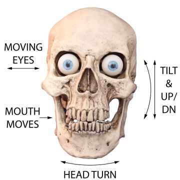 Full Motion Character